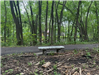 Bench at Courthouse Park