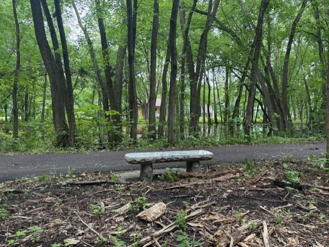 Bench at Courthouse Park