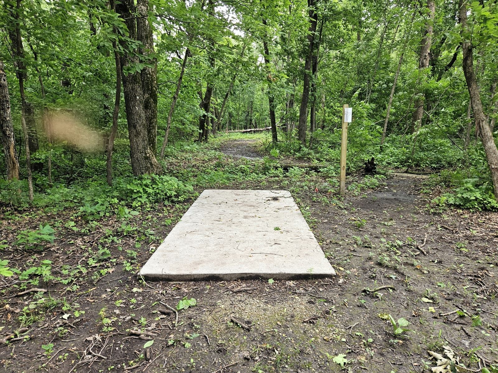 Hole 11